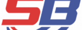 logo sinar baja elektrik